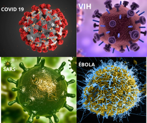 Lee más sobre el artículo Lo que no te cuentan del Coronavirus.